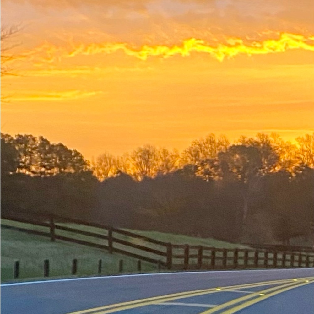 Meet your Posher, Wynn